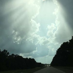 Meet your Posher, Ivy